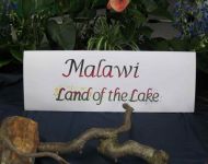 Flower Festival 5th July 2025