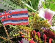 Flower Festival 5th July 2025