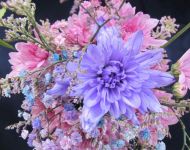 Flower Festival 5th July 2025