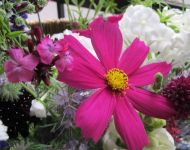 Flower Festival 5th July 2025