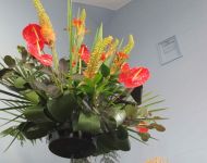 Flower Festival 5th July 2025