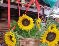 Flower Festival 5th July 2025