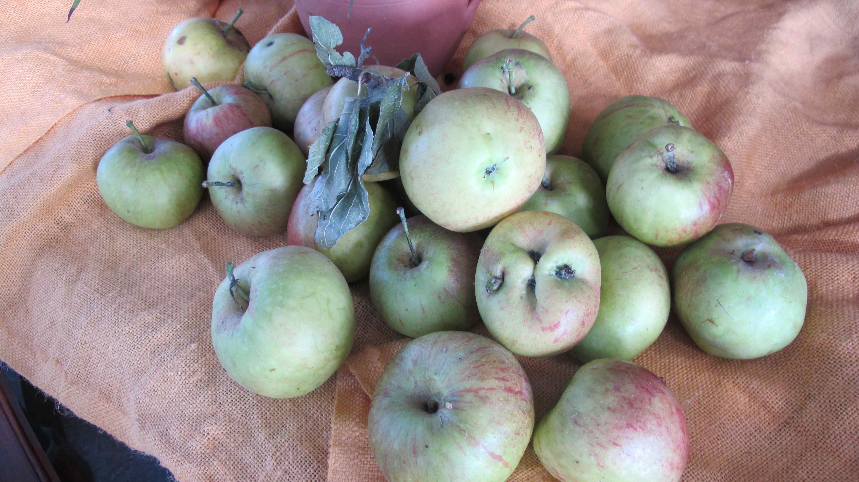 Harvest Festival 21st September 2025